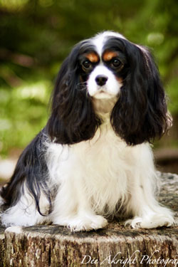 Maggie